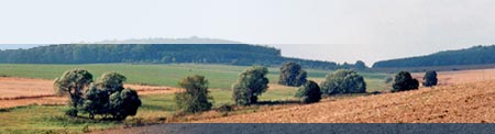Boden in Sachsen-Anhalt - Landschaftsaufnahme