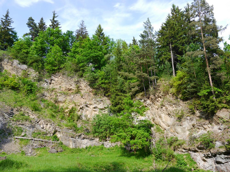 4332-01 Ehemaliger Kalksteinbruch am Schneckenberg bei Harzgerode (Devon)